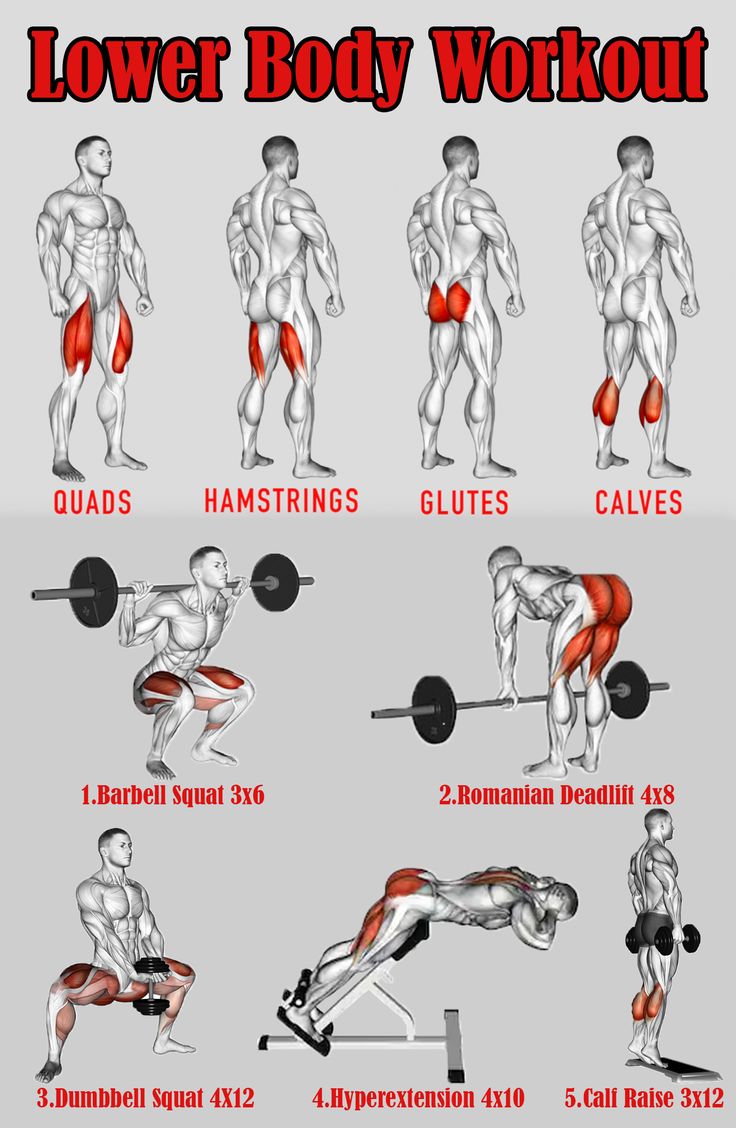 the lower body workout chart shows how to do it