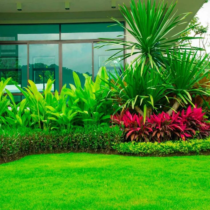 a house with lush green grass and flowers in the front yard