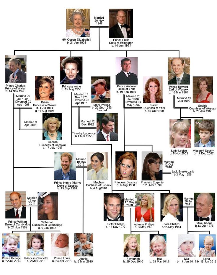 a family tree with many people in it