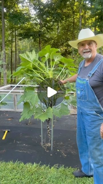 an older man wearing overalls and a cowboy hat is standing in front of a tree