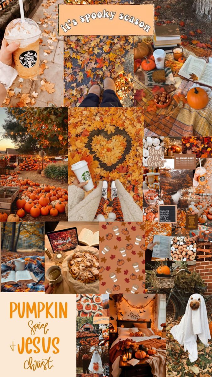 the collage shows pumpkins and other things