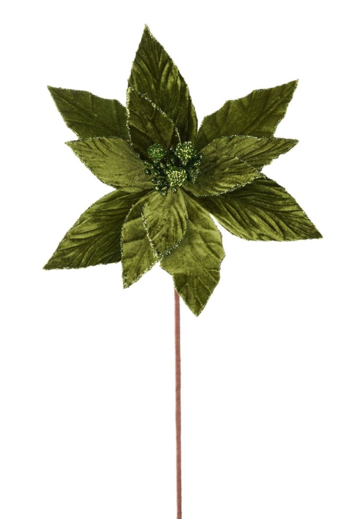 Moss green velvet poinsettia stem - Greenery MarketXS4087A1 Olive Green Christmas, Realistic Artificial Christmas Trees, Christmas Stem, Flower Picks, Christmas Picks, Holiday Arrangement, Floral Picks, Halloween Ribbon, Line Flower