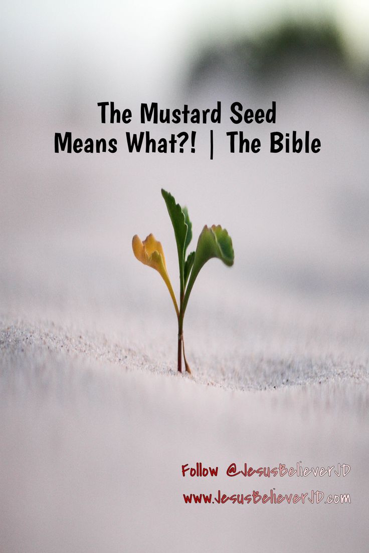 a small plant sprouting out of the ground with text that reads, the mustard seed means what? i the bible