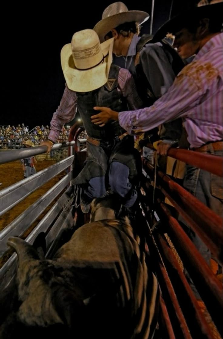 Country Boy Aesthetic, Flawless By Elsie Silver, Jb Mauney, Pbr Bull Riders, Pbr Bull Riding, Chestnut Springs Series, Foto Cowgirl, Bucking Bulls, Bronc Riding