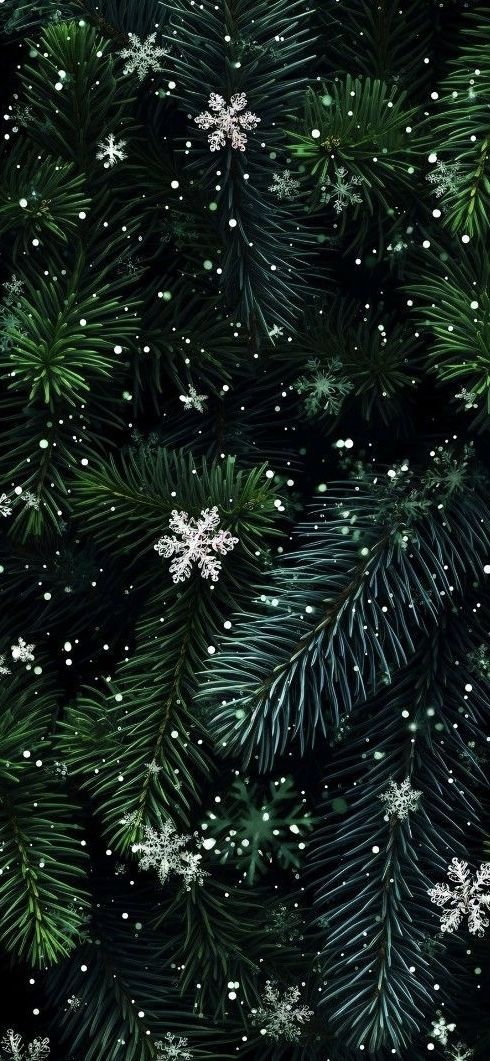 snowflakes and pine needles on a black background