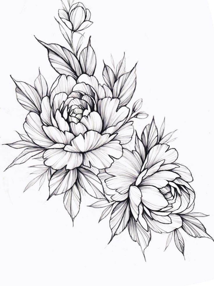 a black and white drawing of flowers