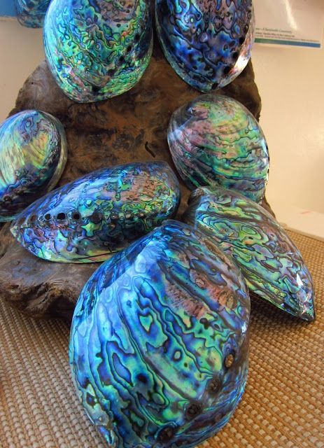 some blue and green glass rocks sitting on top of a wooden stump in front of a white wall