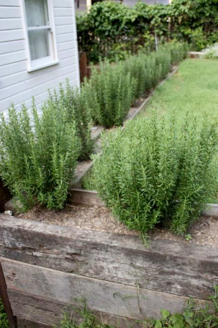 a wooden box filled with plants next to a house