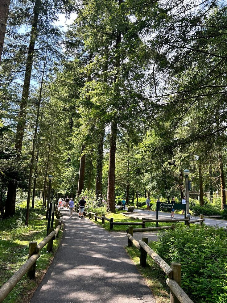 CENTER PARCS LONGLEAT FOREST - Updated 2024 Reviews & Photos Center Parcs Longleat, Centre Parcs, Centre Parks, Center Parcs, Forest Cottage, Outdoor Play Equipment, 2025 Vision, Taxi Service, Fitness Center