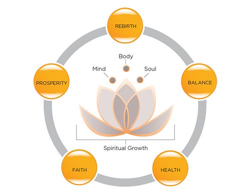 the seven chakras with their corresponding names in orange and white, surrounded by circles