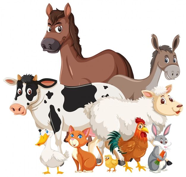 many farm animals together on a white background