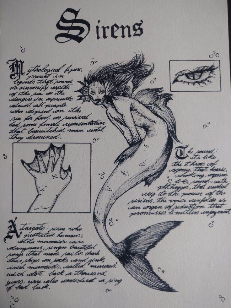 a drawing of a mermaid with its hands and other things on it's back