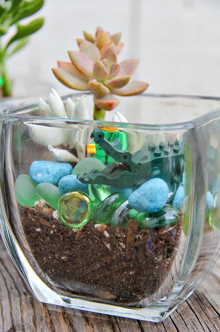 a glass vase filled with rocks and plants on top of a wooden table next to a succulent plant