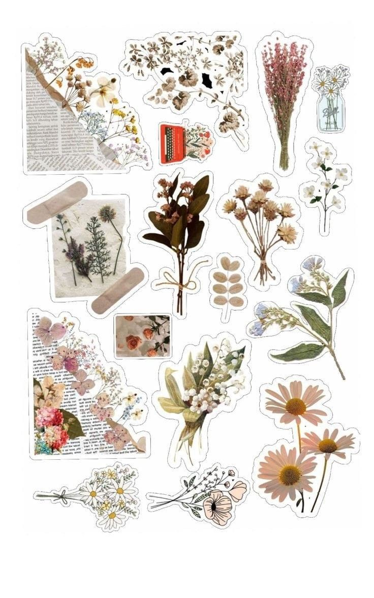 various stickers with flowers and leaves on them, all in different shapes and sizes