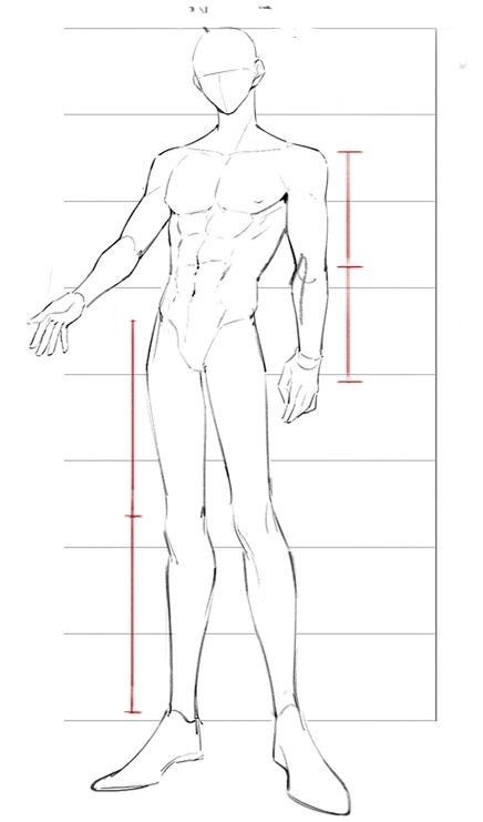 a drawing of a man's body with lines drawn on the side and sides