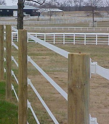 a fenced in area with grass and trees next to a white horse pen on the other side