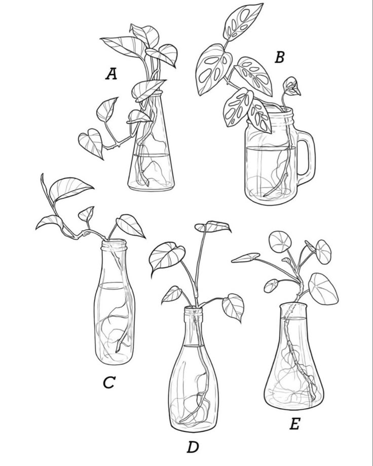 four vases with plants in them and the letters d, b, c, e