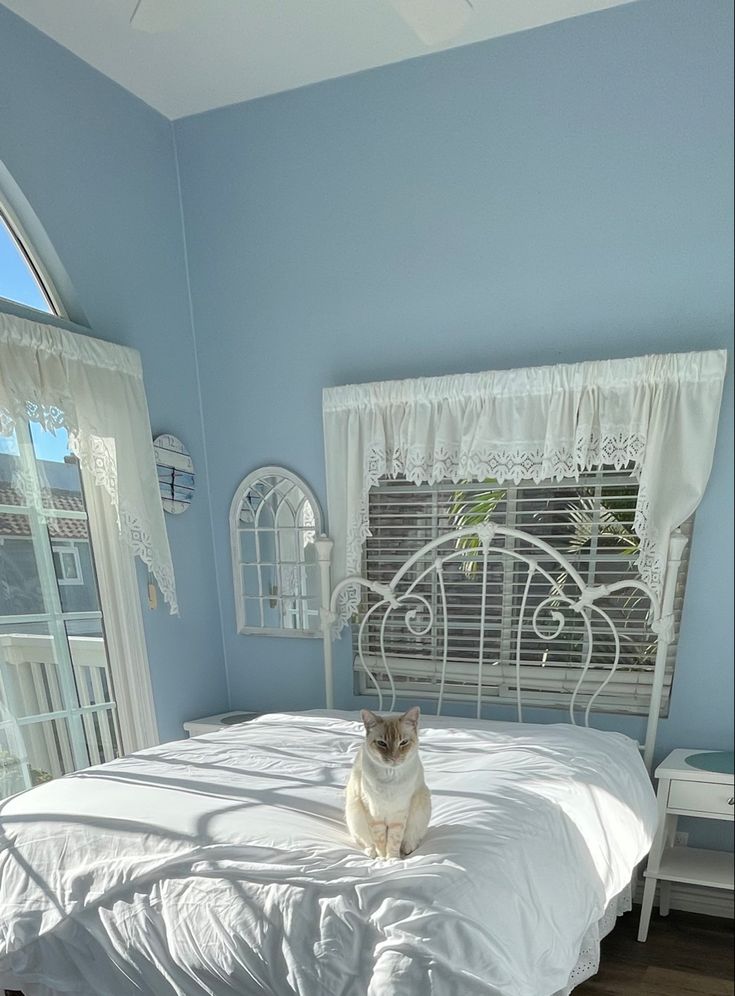 a cat sitting on top of a white bed in a room with blue walls and wooden floors