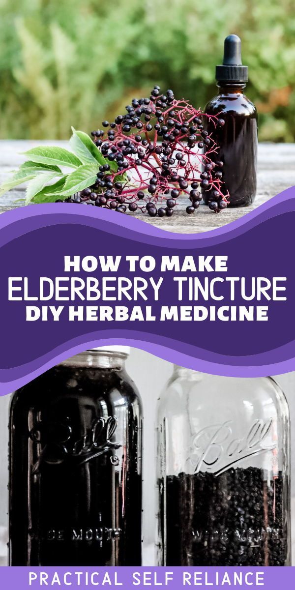 Elderberry Tincture Recipe, Herbalism For Beginners, Elderberry Tincture, Herb Medicine, Tinctures Recipes, Elderberry Syrup Recipe, Elderberry Recipes, Herbal Medicine Recipes, Herbal Remedies Recipes