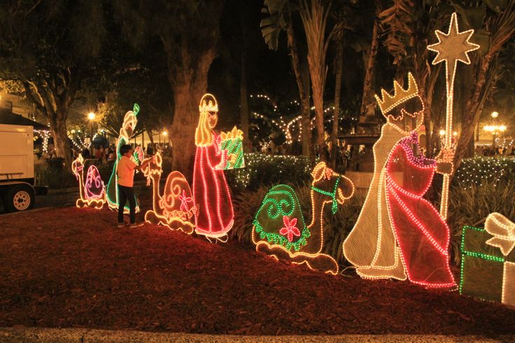 christmas lights are on display in front of trees and bushes at night time, including the nativity scene