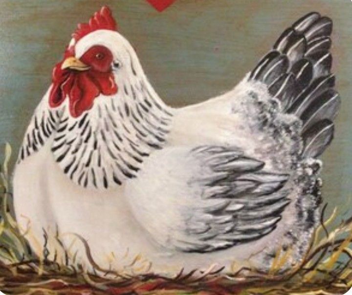 a white and black chicken with a red heart on it's chest sitting in the grass