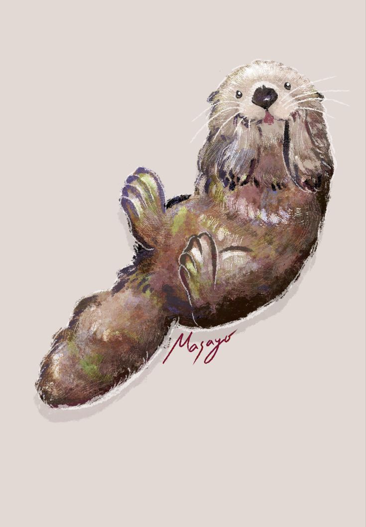 Sea otter Illustration Sea Otters Drawing, Sea Otter Watercolor, Cute Sea Otter Drawings, Sea Otter Cartoon, Sea Otter Tattoo Design, Sea Otter Sketch, Simple Otter Drawing, Sea Otter Drawing Easy, Otter On Back