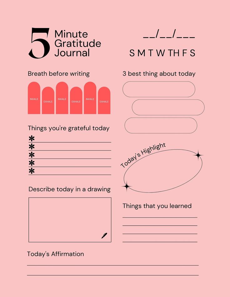 a pink poster with the words 5 minute journal and five different things to write on it