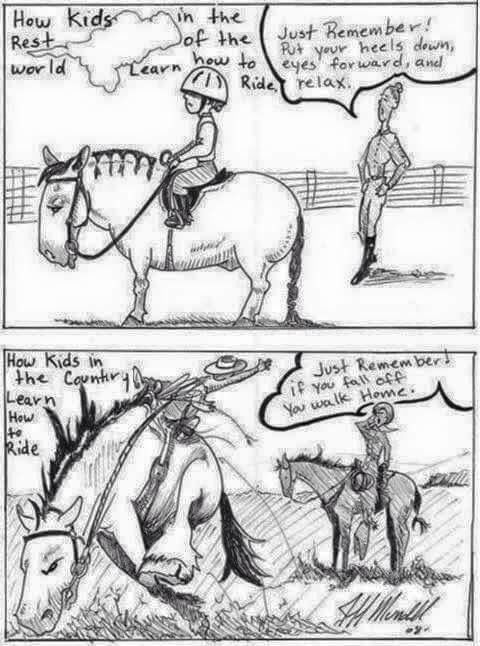 a comic strip with an image of a man riding on a horse and another cartoon about how