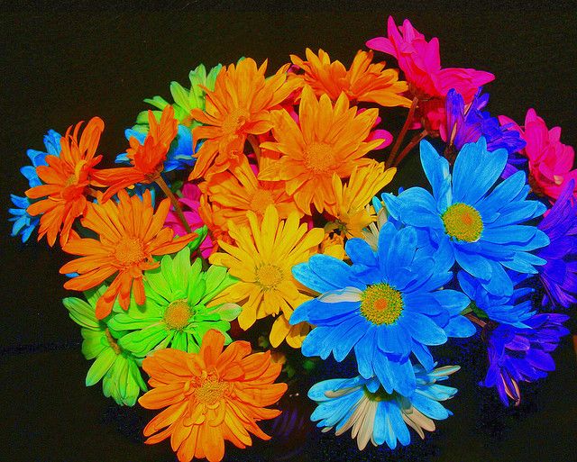 a bunch of colorful flowers sitting on top of a table