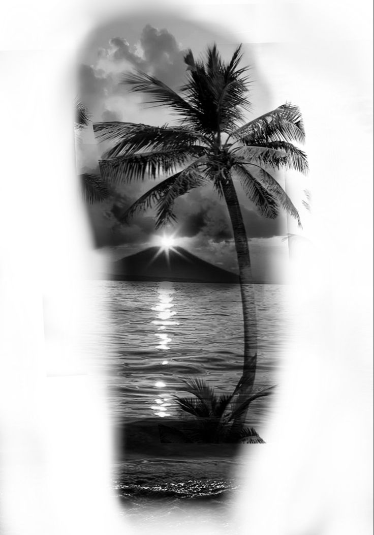 a black and white photo with a palm tree in the foreground, an island in the background