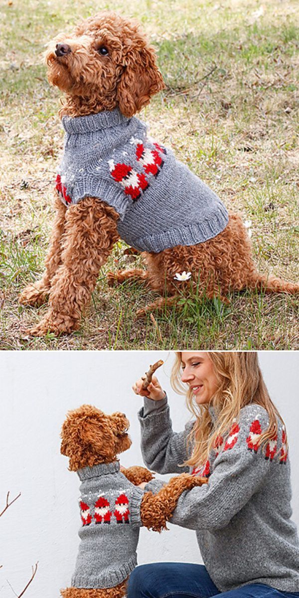 a woman kneeling down next to a dog wearing sweaters