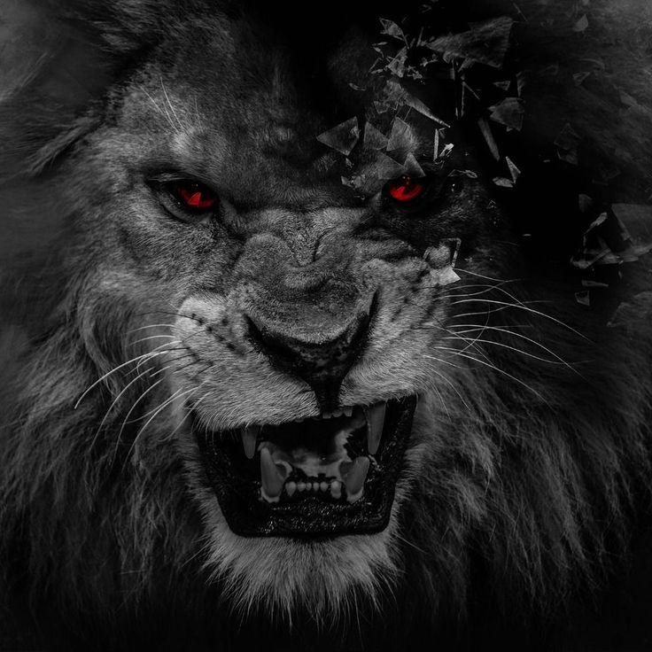 a lion with red eyes is shown in this black and white photo, it looks like he