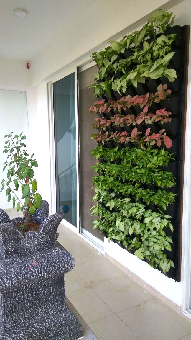 an indoor vertical garden on the side of a building