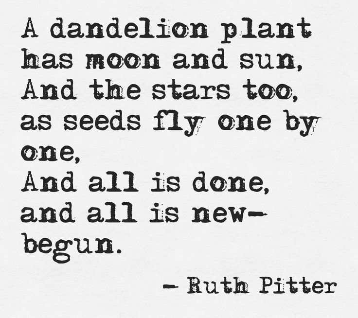 a quote from ruth pittter about the moon and stars