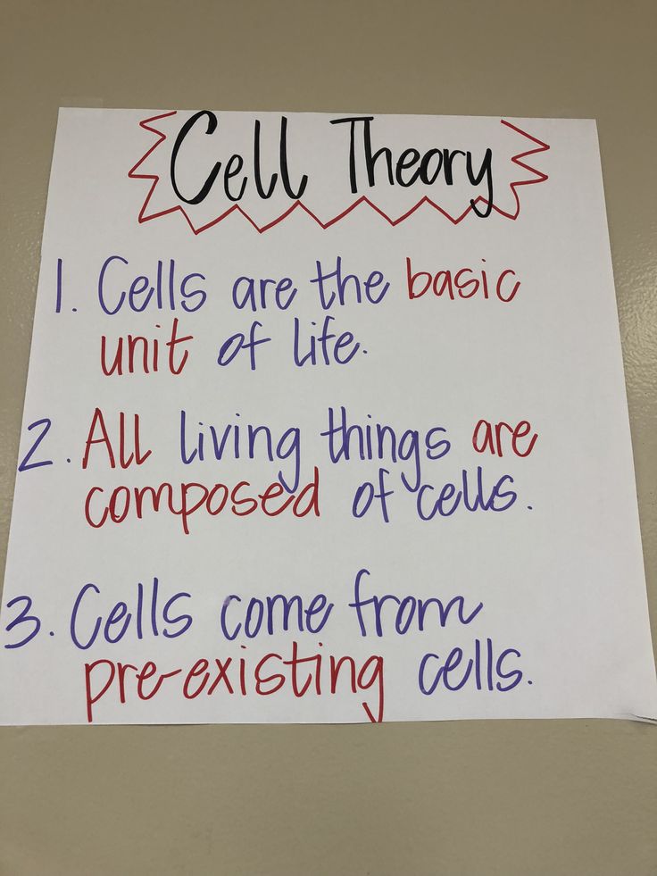 a sign that is on the wall in front of a door with information about cell therapy