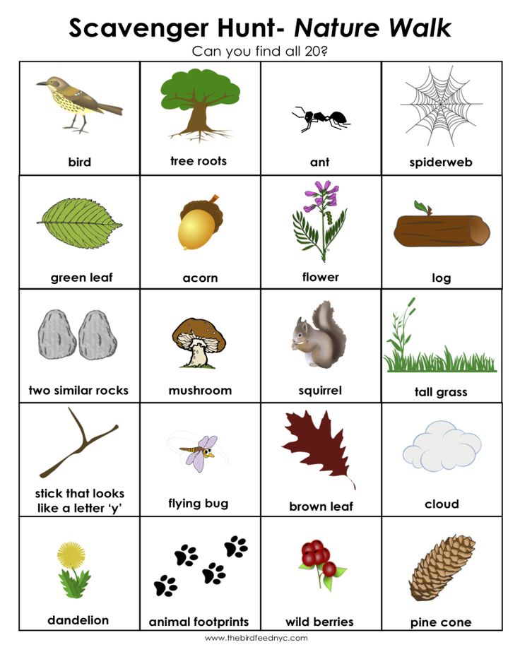 the scavenger hunt - aussie nature walk game is shown in this image