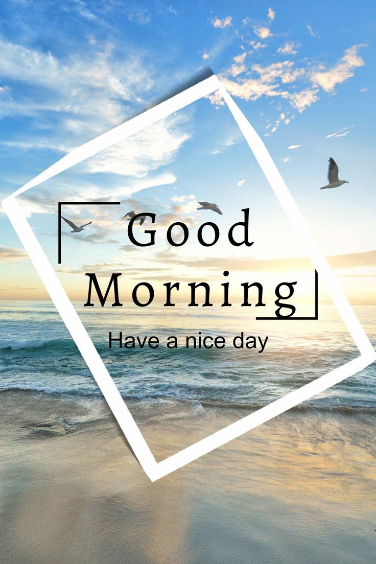 the words good morning have a nice day are in front of an ocean scene with birds flying