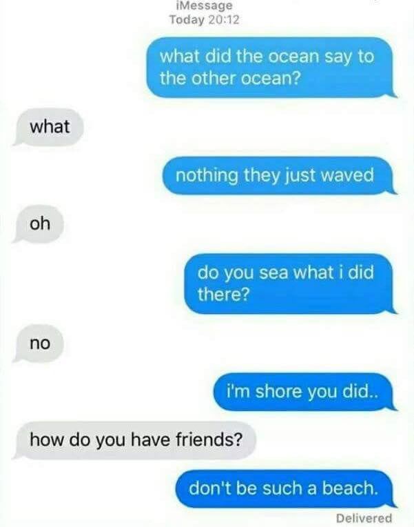 two texts that say, what did the ocean say to the other ocean? nothing they just