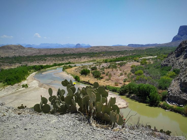 a large cactus next to a river in the middle of a desert area with mountains in the background