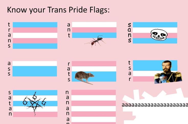 a pink poster with pictures of people and animals in different colors, including the words know your transs pride flags