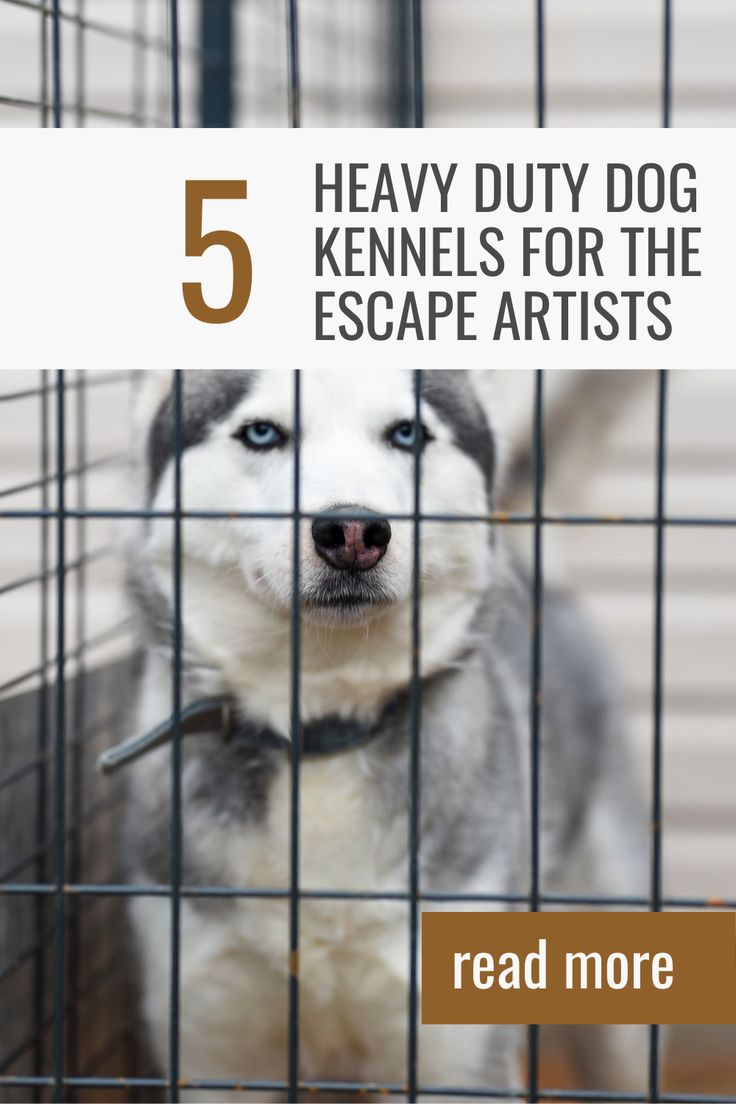 a dog in a cage with the text 5 heavy duty dog kennels for the escape artists