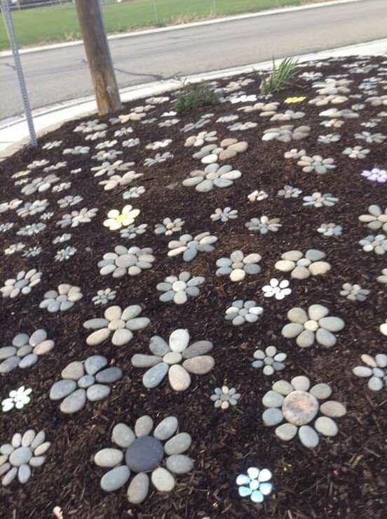 there are many small rocks in the ground with flowers growing on them, and one is painted white