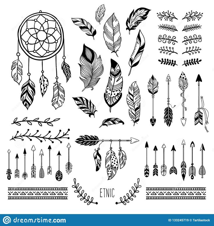 a set of decorative feathers and arrows