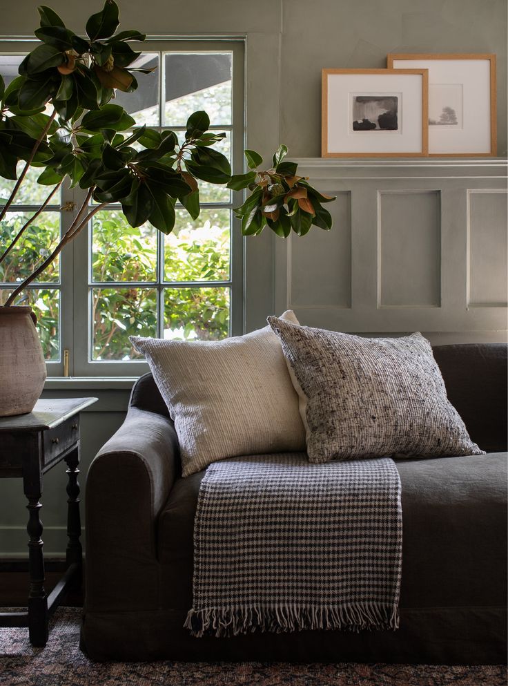 a living room filled with furniture and a potted plant