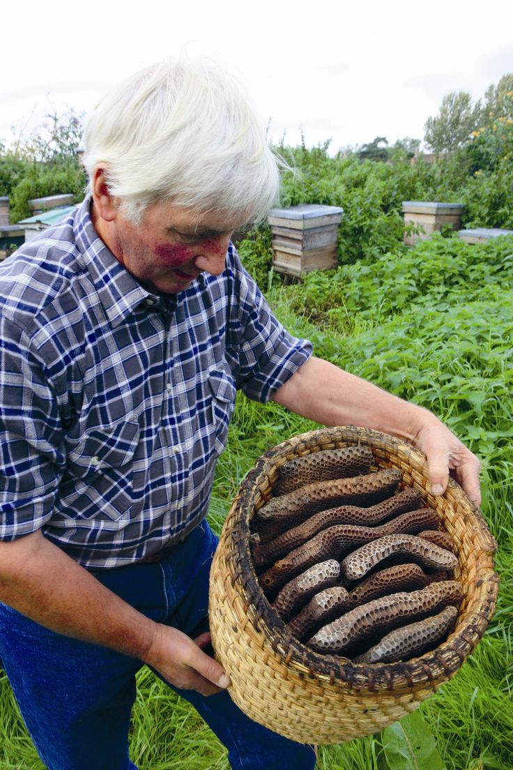 an older man holding a basket full of snakes in the middle of a grassy field