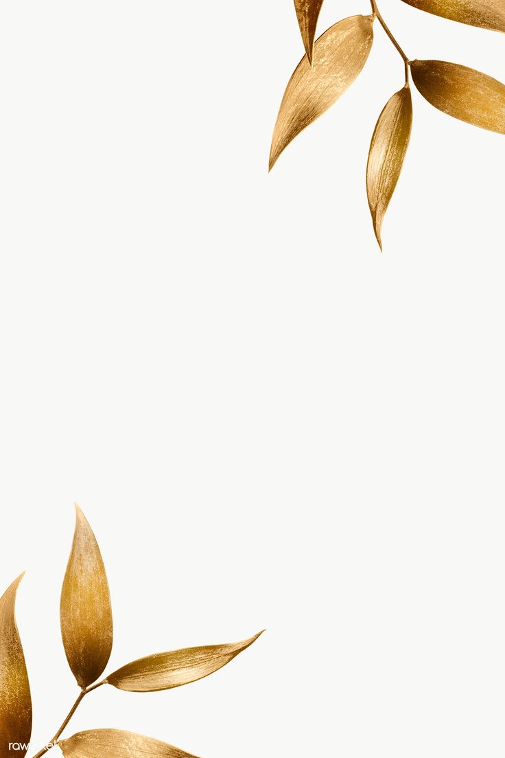 a white background with gold leaves on the top and bottom part of the frame, as well as an empty space in the middle