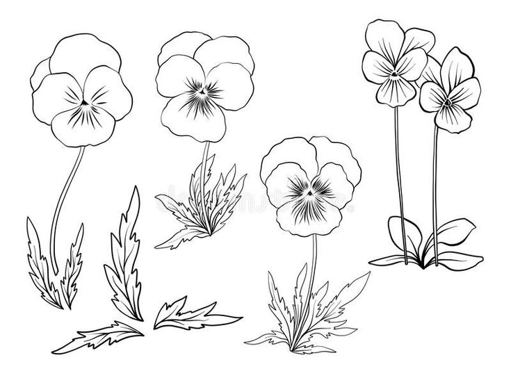 four different types of flowers in black and white on a white background, with the outlines