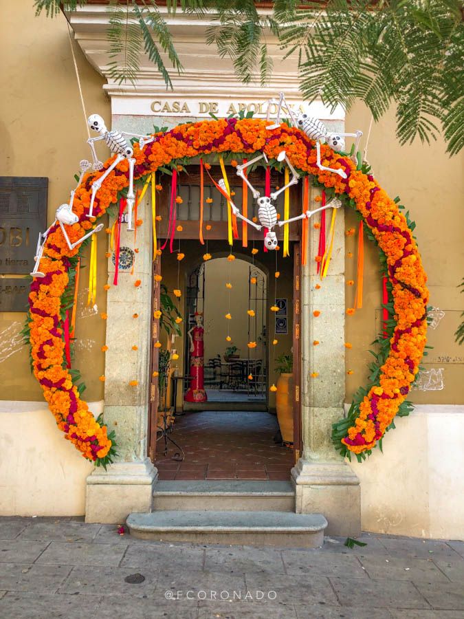 an entrance to a building decorated with orange and white flowers, decorations and skeletons hanging from the ceiling