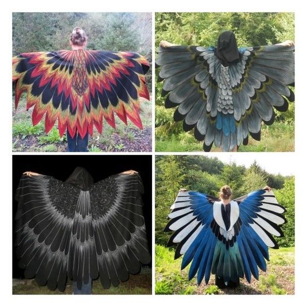 four different types of bird wings are shown in three pictures, one is black and the other is blue