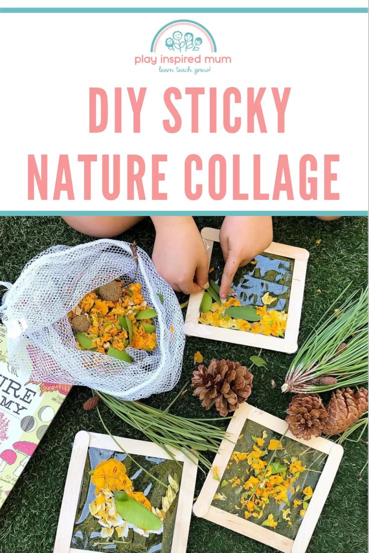 the diy sticky nature collage with pine cones and flowers in it on grass